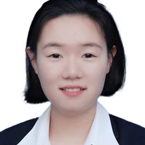 董文文