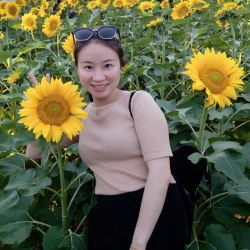 邓丽